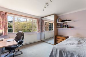 Photo 6- click for photo gallery